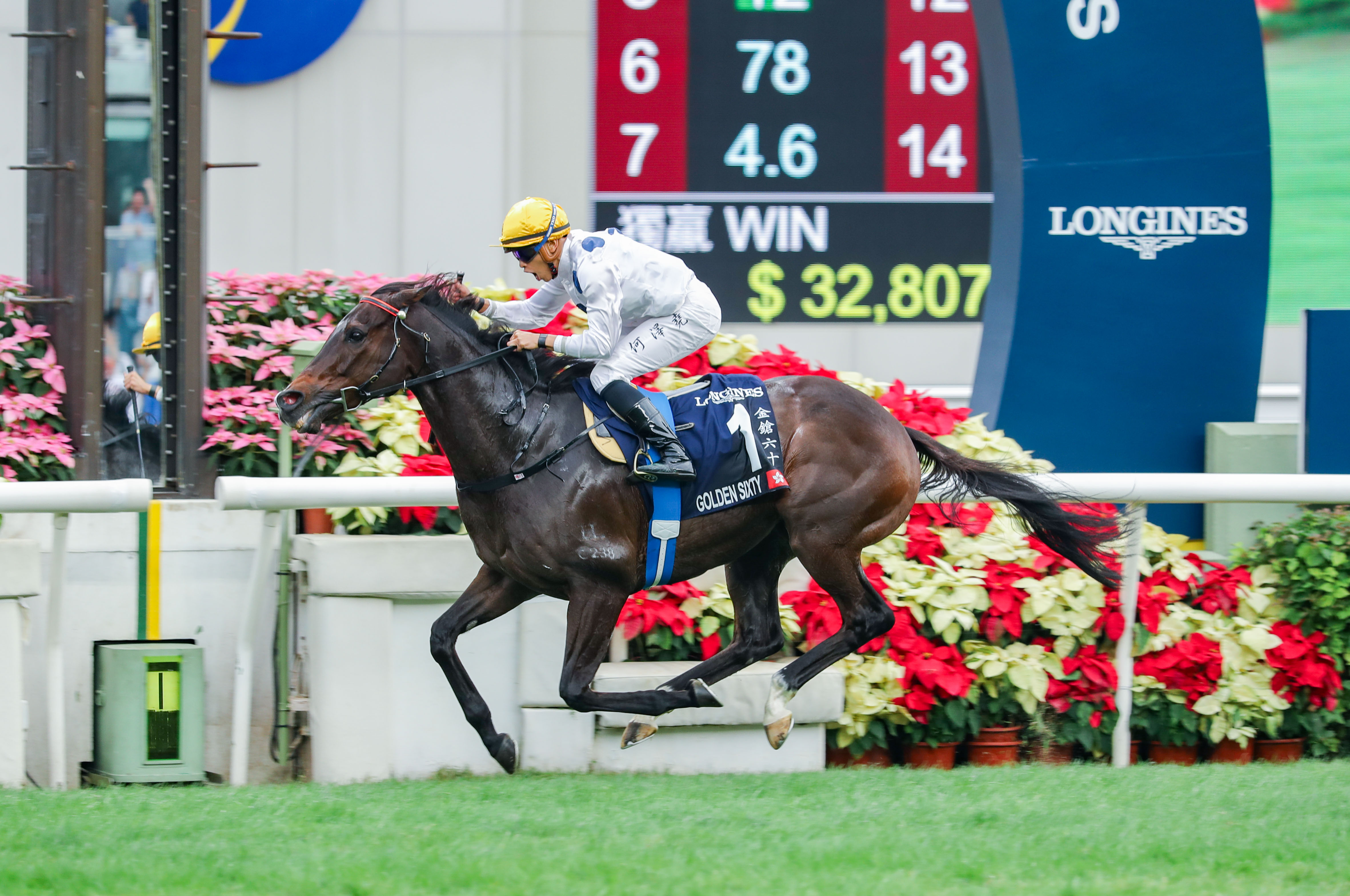 Hong Kong Mile